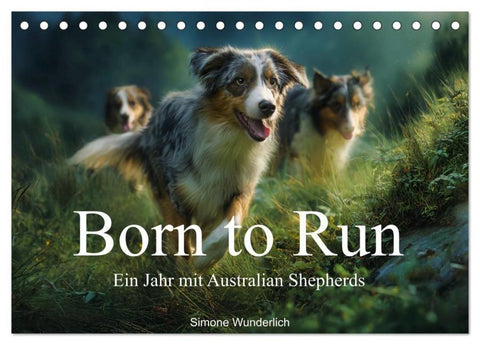 Born to run - Ein Jahr mit Australian Shepherds (Tischkalender 2027 DIN A5 quer), CALVENDO Monatskalender
