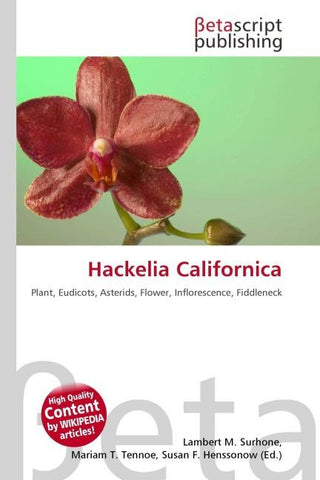 Hackelia Californica