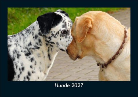 Hunde 2027 Fotokalender DIN A5