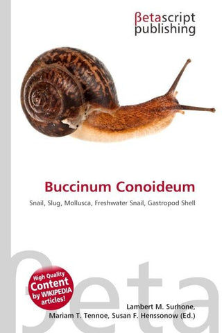 Buccinum Conoideum
