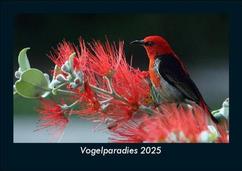 Vogelparadies 2025 Fotokalender DIN A5