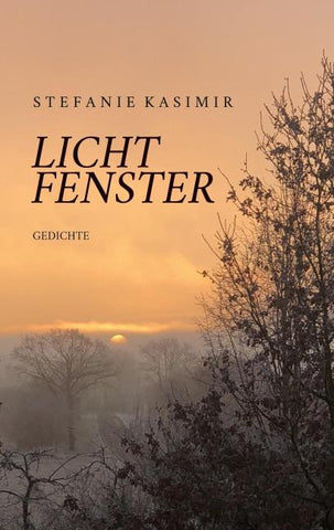 Lichtfenster