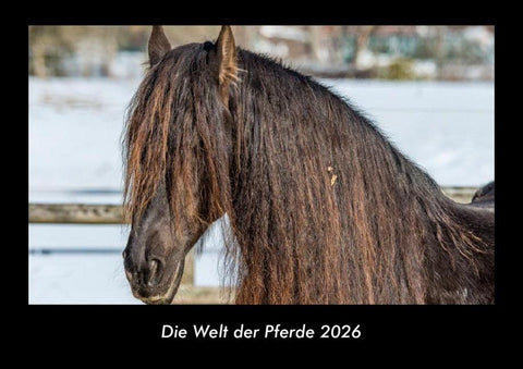 Die Welt der Pferde 2026 Fotokalender DIN A3