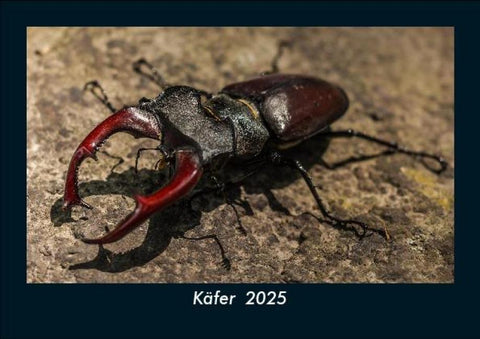 Käfer  2025 Fotokalender DIN A5