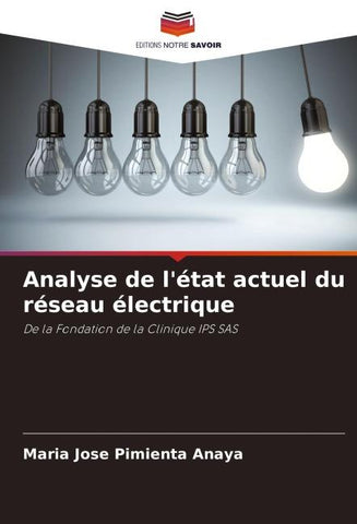 Analyse de l'état actuel du réseau électrique