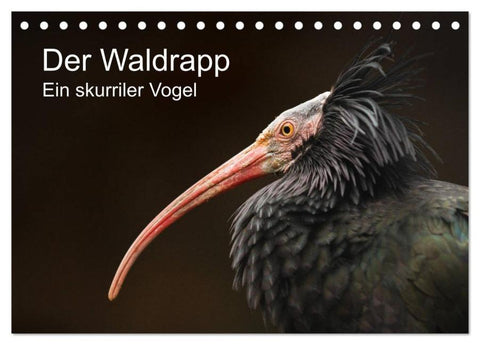 Der Waldrapp - Ein skurriler Vogel (Tischkalender 2026 DIN A5 quer), CALVENDO Monatskalender