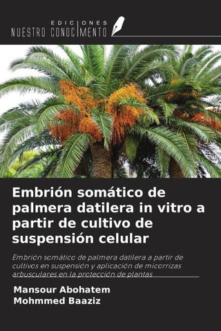 Embrión somático de palmera datilera in vitro a partir de cultivo de suspensión celular