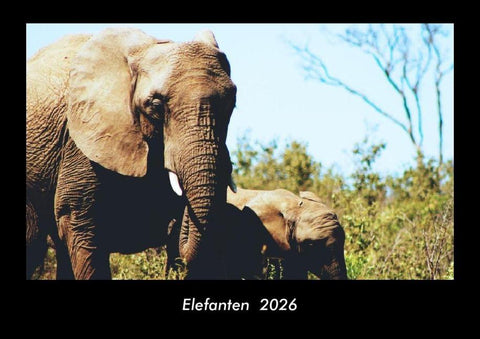 Elefanten  2026 Fotokalender DIN A3