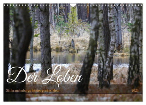 Der Loben. Im Reich der Moorgeister und Kreuzottern- Südbrandenburgs letztes großes Moor (Wandkalender 2026 DIN A3 quer), CALVENDO Monatskalender