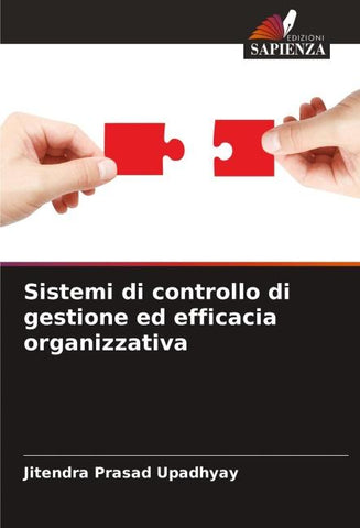 Sistemi di controllo di gestione ed efficacia organizzativa