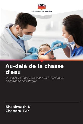 Au-delà de la chasse d'eau