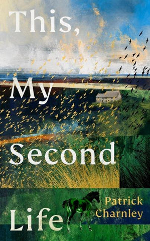 This, My Second Life