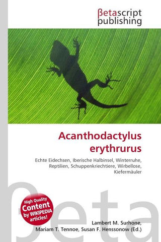 Acanthodactylus erythrurus