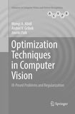 Optimization Techniques in Computer Vision