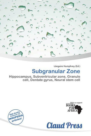 Subgranular Zone