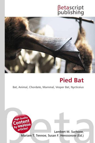 Pied Bat