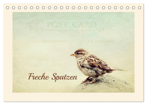 Freche Spatzen (Tischkalender 2026 DIN A5 quer), CALVENDO Monatskalender