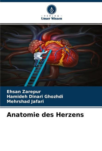 Anatomie des Herzens
