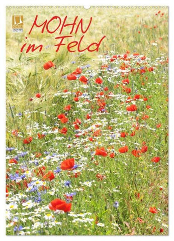 Mohn im Feld (Wandkalender 2026 DIN A2 hoch), CALVENDO Monatskalender
