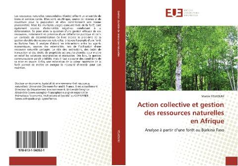 Action collective et gestion des ressources naturelles en Afrique