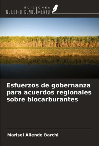 Esfuerzos de gobernanza para acuerdos regionales sobre biocarburantes
