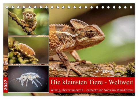 Die kleinsten Tiere - Weltweit (Tischkalender 2027 DIN A5 quer), CALVENDO Monatskalender