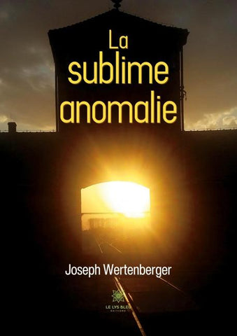 La sublime anomalie