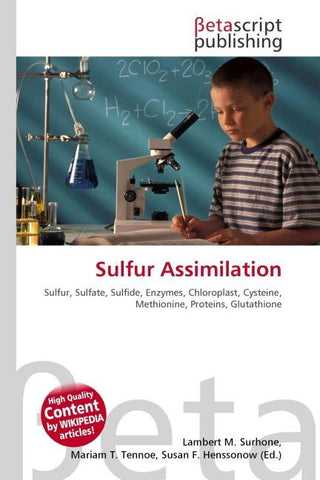 Sulfur Assimilation