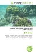 Bivalvia