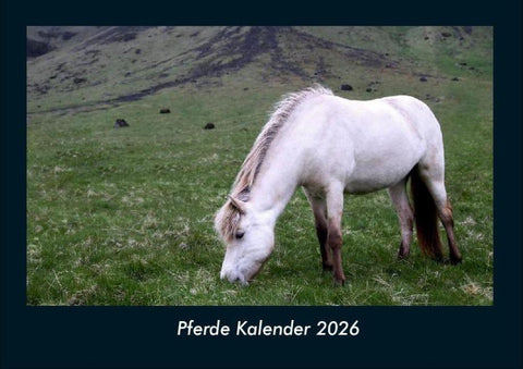 Pferde Kalender 2026 Fotokalender DIN A4