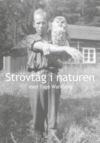 Strövtåg i naturen