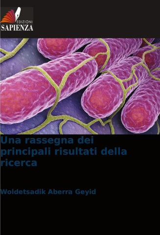 Una rassegna dei principali risultati della ricerca
