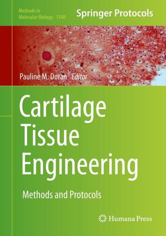 Cartilage Tissue Engineering