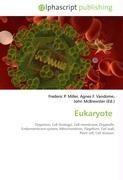 Eukaryote