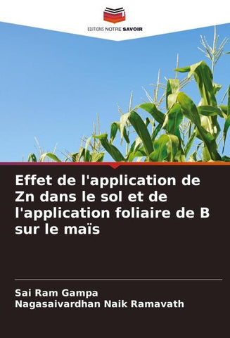 Effet de l'application de Zn dans le sol et de l'application foliaire de B sur le maïs