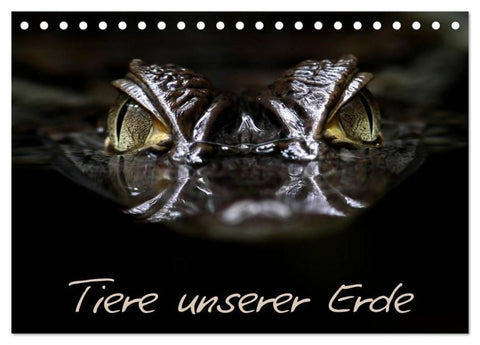 Tiere unserer Erde (Tischkalender 2026 DIN A5 quer), CALVENDO Monatskalender
