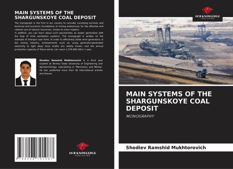 MAIN SYSTEMS OF THE SHARGUNSKOYE COAL DEPOSIT