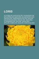 Loris