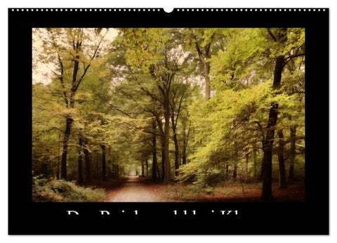 Der Reichswald bei Kleve (Wandkalender 2026 DIN A2 quer), CALVENDO Monatskalender
