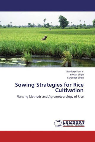 Sowing Strategies for Rice Cultivation