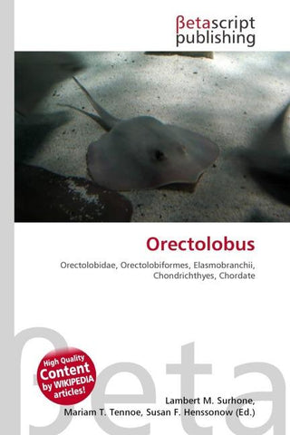 Orectolobus