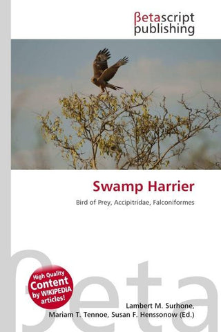 Swamp Harrier
