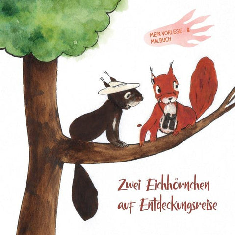 Zwei Eichhörnchen auf Entdeckungsreise