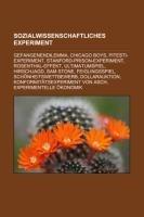 Sozialwissenschaftliches Experiment