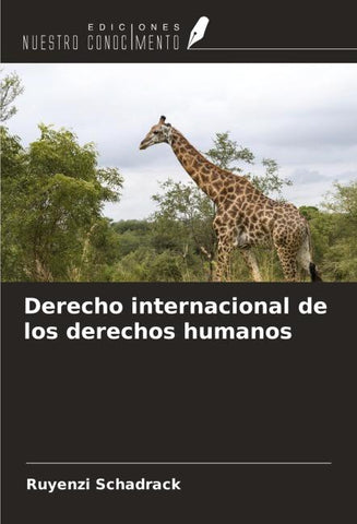 Derecho internacional de los derechos humanos