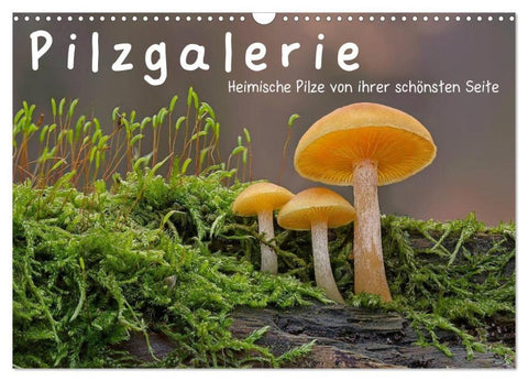Pilzgalerie - Heimische Pilze von ihrer schönsten Seite (Wandkalender 2026 DIN A3 quer), CALVENDO Monatskalender