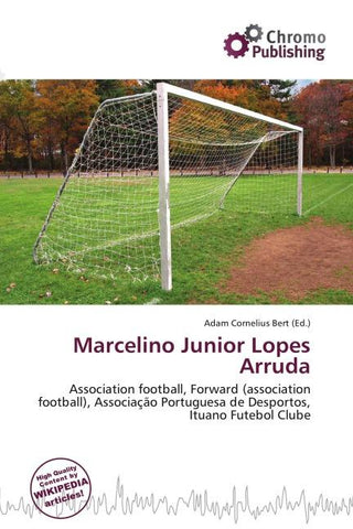 Marcelino Junior Lopes Arruda