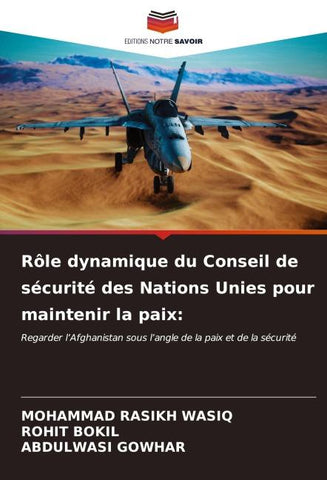 Rôle dynamique du Conseil de sécurité des Nations Unies pour maintenir la paix: