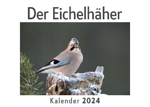 Der Eichelhäher  (Wandkalender 2024, Kalender DIN A4 quer, Monatskalender im Querformat mit Kalendarium, Das perfekte Geschenk)