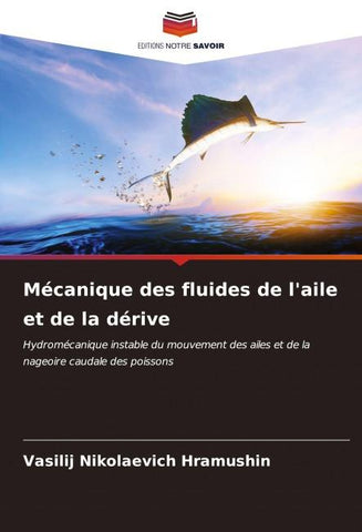 Mécanique des fluides de l'aile et de la dérive